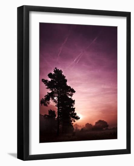 Evening Glory-Doug Chinnery-Framed Photographic Print