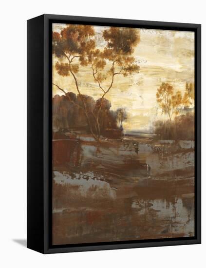 Evening Glow-Simon Addyman-Framed Stretched Canvas