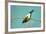 Evening Grosbeak Curiously Looking Around-Richard Wright-Framed Photographic Print