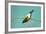 Evening Grosbeak Curiously Looking Around-Richard Wright-Framed Photographic Print