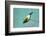 Evening Grosbeak Curiously Looking Around-Richard Wright-Framed Photographic Print