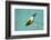 Evening Grosbeak Curiously Looking Around-Richard Wright-Framed Photographic Print