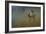 Evening Hawk-Jai Johnson-Framed Giclee Print