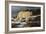 Evening Hunter-Trevor V. Swanson-Framed Giclee Print