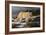 Evening Hunter-Trevor V. Swanson-Framed Giclee Print