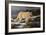 Evening Hunter-Trevor V. Swanson-Framed Giclee Print