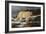 Evening Hunter-Trevor V. Swanson-Framed Giclee Print