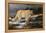 Evening Hunter-Trevor V. Swanson-Framed Premier Image Canvas