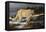 Evening Hunter-Trevor V. Swanson-Framed Premier Image Canvas