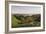 Evening in Arundel Park, Sussex, England-Charles James Adams-Framed Giclee Print