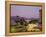 Evening in Cairns, Queensland, Australia-Fraser Hall-Framed Premier Image Canvas