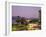 Evening in Cairns, Queensland, Australia-Fraser Hall-Framed Photographic Print