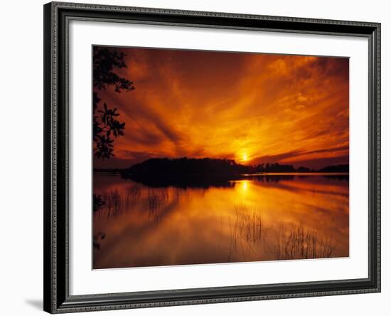 Evening in the Swampy Wilderness, Everglades National Park, Florida, USA-Jerry Ginsberg-Framed Photographic Print