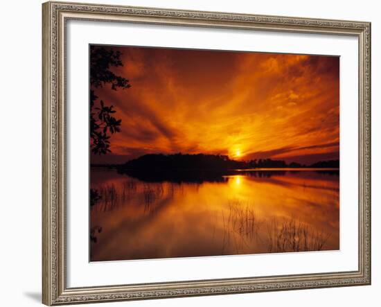 Evening in the Swampy Wilderness, Everglades National Park, Florida, USA-Jerry Ginsberg-Framed Photographic Print