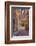 Evening Light Along a Back Alley of Assisi-Terry Eggers-Framed Photographic Print