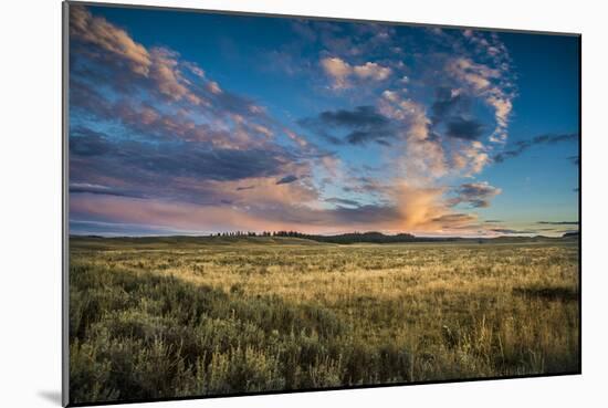 Evening Light In The Hayden Valley, Yellowstone National Park-Bryan Jolley-Mounted Photographic Print