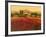 Evening Light, Languedoc-Hazel Barker-Framed Giclee Print