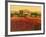 Evening Light, Languedoc-Hazel Barker-Framed Giclee Print