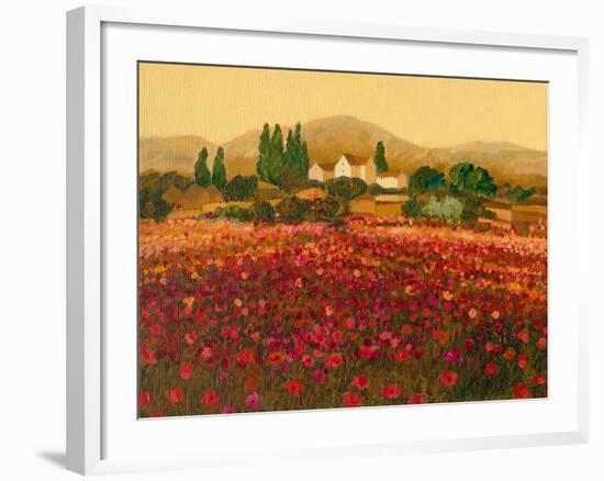 Evening Light, Languedoc-Hazel Barker-Framed Giclee Print