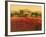 Evening Light, Languedoc-Hazel Barker-Framed Giclee Print