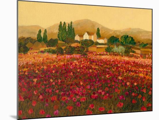 Evening Light, Languedoc-Hazel Barker-Mounted Giclee Print