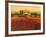 Evening Light, Languedoc-Hazel Barker-Framed Giclee Print