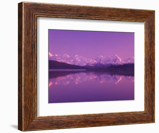 Evening Light on Alaska Range from Wonder Lake, Denali National Park, Alaska, USA-Darrell Gulin-Framed Photographic Print