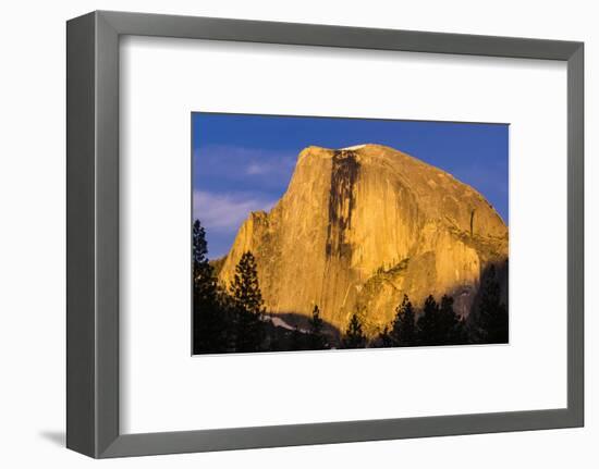 Evening light on Half Dome, Yosemite National Park, California, USA.-Russ Bishop-Framed Photographic Print