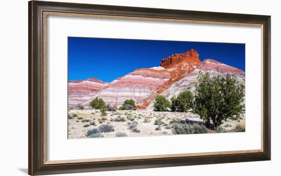 Evening light on the Cockscomb, Grand Staircase-Escalante National Monument, Utah, USA-Russ Bishop-Framed Photographic Print