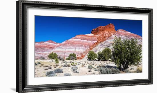 Evening light on the Cockscomb, Grand Staircase-Escalante National Monument, Utah, USA-Russ Bishop-Framed Photographic Print