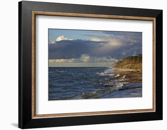 Evening Light over the Western Beach of Darss Peninsula, in the Surge of the Baltic Sea-Uwe Steffens-Framed Photographic Print