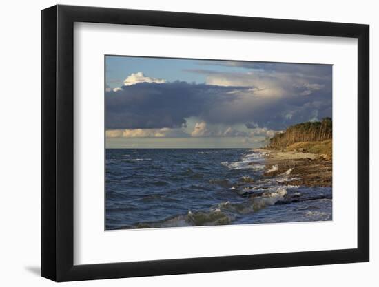 Evening Light over the Western Beach of Darss Peninsula, in the Surge of the Baltic Sea-Uwe Steffens-Framed Photographic Print