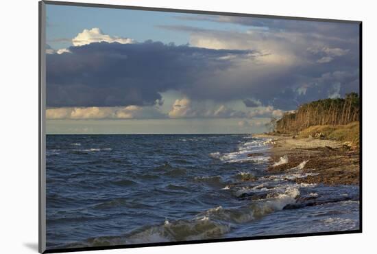 Evening Light over the Western Beach of Darss Peninsula, in the Surge of the Baltic Sea-Uwe Steffens-Mounted Photographic Print