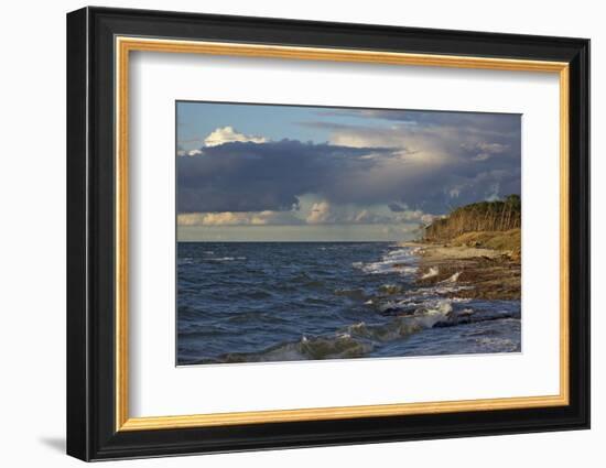 Evening Light over the Western Beach of Darss Peninsula, in the Surge of the Baltic Sea-Uwe Steffens-Framed Photographic Print