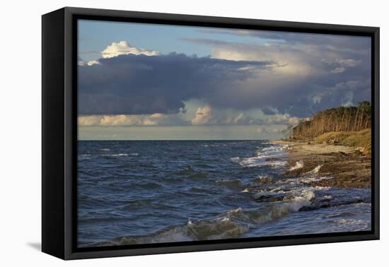 Evening Light over the Western Beach of Darss Peninsula, in the Surge of the Baltic Sea-Uwe Steffens-Framed Premier Image Canvas