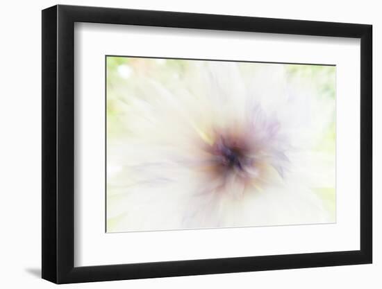 Evening Light-Jacob Berghoef-Framed Photographic Print