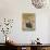Evening Magnificence-Bridget Davies-Giclee Print displayed on a wall