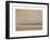 Evening Marsh-Sammy Sheler-Framed Art Print