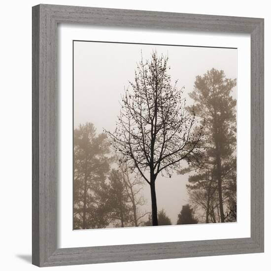 Evening Mist 2 Detail-Marlana Semenza-Framed Art Print