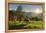 Evening Mood at the KitzbŸheler Horn, Cows, Tyrol, Austria-Rainer Mirau-Framed Premier Image Canvas