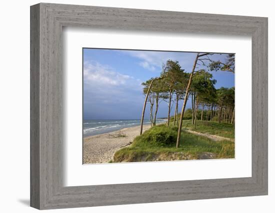 Evening on the Western Beach of Darss Peninsula-Uwe Steffens-Framed Photographic Print