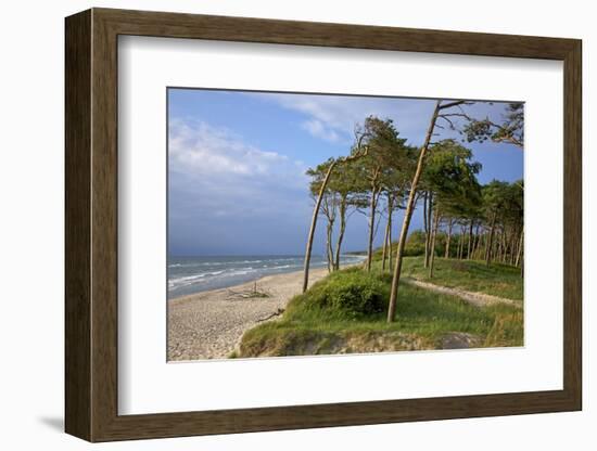 Evening on the Western Beach of Darss Peninsula-Uwe Steffens-Framed Photographic Print