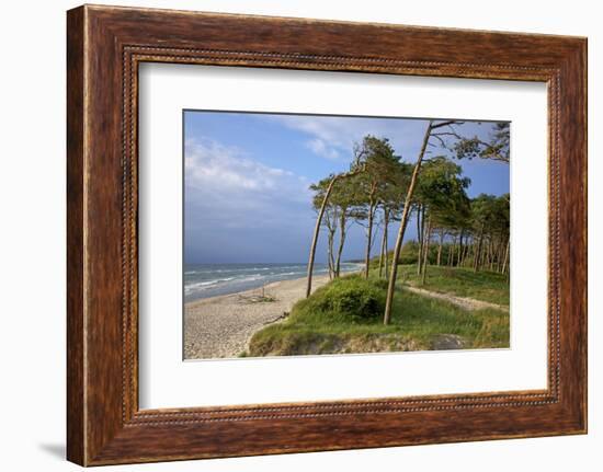 Evening on the Western Beach of Darss Peninsula-Uwe Steffens-Framed Photographic Print