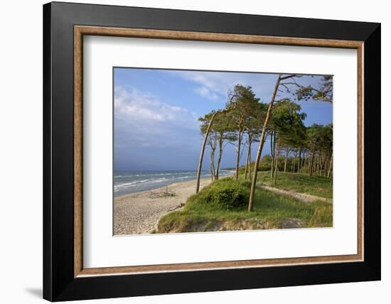 Evening on the Western Beach of Darss Peninsula-Uwe Steffens-Framed Photographic Print