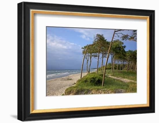 Evening on the Western Beach of Darss Peninsula-Uwe Steffens-Framed Photographic Print