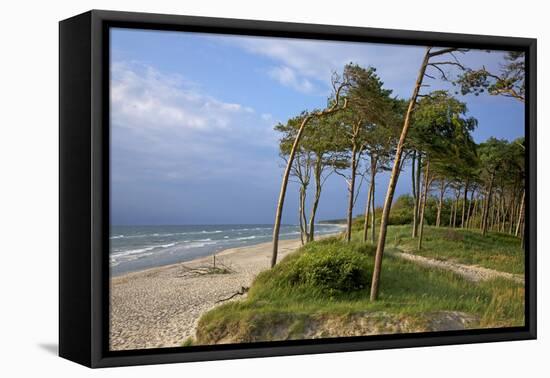 Evening on the Western Beach of Darss Peninsula-Uwe Steffens-Framed Premier Image Canvas