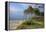 Evening on the Western Beach of Darss Peninsula-Uwe Steffens-Framed Premier Image Canvas