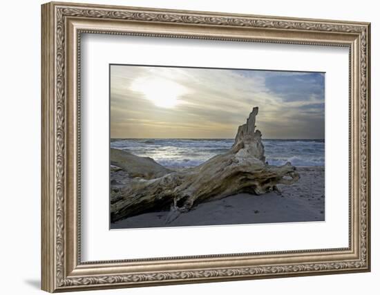 Evening on the Western Beach of Darss Peninsula-Uwe Steffens-Framed Photographic Print