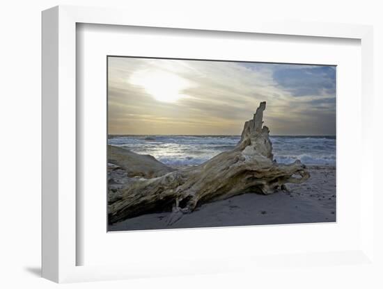 Evening on the Western Beach of Darss Peninsula-Uwe Steffens-Framed Photographic Print