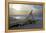 Evening on the Western Beach of Darss Peninsula-Uwe Steffens-Framed Premier Image Canvas